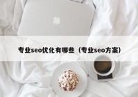 專業(yè)seo優(yōu)化有哪些（專業(yè)seo方案）