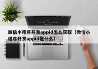 微信小程序開發(fā)appid怎么獲?。ㄎ⑿判〕绦蜷_發(fā)appid是什么）