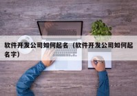 軟件開發(fā)公司如何起名（軟件開發(fā)公司如何起名字）