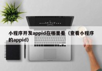 小程序開(kāi)發(fā)appid在哪里看（查看小程序的appid）