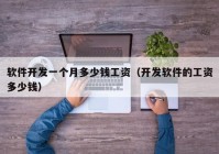 軟件開發(fā)一個月多少錢工資（開發(fā)軟件的工資多少錢）