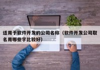 適用于軟件開發(fā)的公司名稱（軟件開發(fā)公司取名用哪些字比較好）