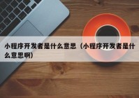 小程序開發(fā)者是什么意思（小程序開發(fā)者是什么意思?。? /></a>
		</div>
		<div   id=