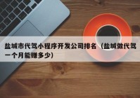 鹽城市代駕小程序開發(fā)公司排名（鹽城做代駕一個月能賺多少）