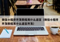 微信小程序開發(fā)教程用什么語言（微信小程序開發(fā)教程用什么語言開發(fā)）