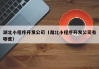 湖北小程序開發(fā)公司（湖北小程序開發(fā)公司有哪些）