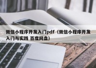 微信小程序開發(fā)入門pdf（微信小程序開發(fā)入門與實踐 百度網(wǎng)盤）