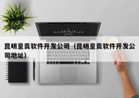 昆明呈貢軟件開發(fā)公司（昆明呈貢軟件開發(fā)公司地址）