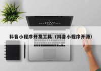 抖音小程序開發(fā)工具（抖音小程序開源）