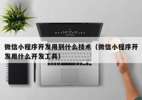 微信小程序開發(fā)用到什么技術（微信小程序開發(fā)用什么開發(fā)工具）