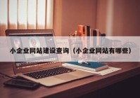 小企業(yè)網(wǎng)站建設(shè)查詢（小企業(yè)網(wǎng)站有哪些）