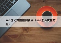 seo優(yōu)化方案案例新手（seo怎么優(yōu)化方案）