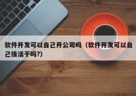 軟件開發(fā)可以自己開公司嗎（軟件開發(fā)可以自己接活干嗎?）