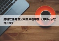 昆明軟件開(kāi)發(fā)公司集中在哪里（昆明app軟件開(kāi)發(fā)）