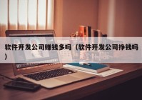 軟件開發(fā)公司賺錢多嗎（軟件開發(fā)公司掙錢嗎）