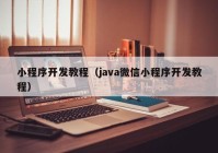 小程序開(kāi)發(fā)教程（java微信小程序開(kāi)發(fā)教程）