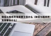 微信小程序開發(fā)需要注意什么（微信小程序開發(fā)需要會(huì)什么）