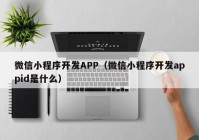 微信小程序開發(fā)APP（微信小程序開發(fā)appid是什么）