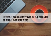 小程序開發(fā)app應(yīng)用什么語言（小程序功能開發(fā)用什么語言最方便）