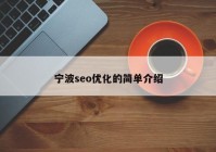 寧波seo優(yōu)化的簡單介紹