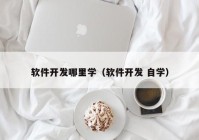 軟件開發(fā)哪里學(xué)（軟件開發(fā) 自學(xué)）