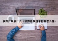 軟件開發(fā)靠什么（軟件開發(fā)這個行業(yè)怎么樣）