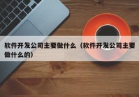 軟件開發(fā)公司主要做什么（軟件開發(fā)公司主要做什么的）