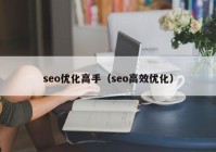 seo優(yōu)化高手（seo高效優(yōu)化）