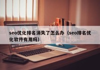 seo優(yōu)化排名消失了怎么辦（seo排名優(yōu)化軟件有用嗎）