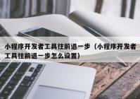 小程序開發(fā)者工具往前退一步（小程序開發(fā)者工具往前退一步怎么設(shè)置）