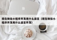 現(xiàn)在微信小程序開發(fā)用什么語言（現(xiàn)在微信小程序開發(fā)用什么語言開發(fā)）